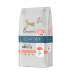 Quattro Extra Salmon sausas pa&scaron;aras su la&scaron;i&scaron;a &scaron;unims, 12 kg