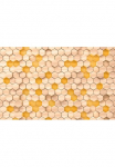 Komar Tapetai &raquo;Digitaldruck Vlies - Woodcomb Birch - Gr&ouml;&szlig;e 400 x 250 cm&laquo; ra&scaron;tuotas glatt Wohnzimmer miegamojo kambario baldai