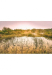 Komar Tapetai &raquo;Digitaldruck Vlies - Morning View II - Gr&ouml;&szlig;e 400 x 250 cm&laquo; ra&scaron;tuotas glatt Wohnzimmer miegamojo kambario baldai