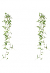 Creativ green Kunstranke &raquo;Tradescantia-H&auml;nger&laquo;