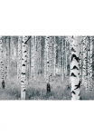 Komar Tapetai &raquo;Digitaldruck Vlies - Woods - Gr&ouml;&szlig;e 400 x 270 cm&laquo; ra&scaron;tuotas glatt Wohnzimmer miegamojo kambario baldai