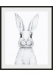 queence Paveikslas &raquo;Aleksi&laquo; naminiai gyvūnai | Kunst | Schwarz-Wei&szlig; 1 Stk. dalys HD Premium Poster-Druck ir Holzrahmen