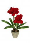 I.GE.A. Dirbtinė gėlė &raquo;Amaryllis im Topf&laquo; 50cm Blume Weihnachtsblume Weihnachtsdeko Winterblume Floristik