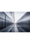 Rasch Fototapetas &raquo;Young Artists&laquo; gemustert glatt