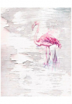 Komar Tapetai &raquo;Digitaldruck Vlies - Pink flamingas - Gr&ouml;&szlig;e 200 x 250 cm&laquo; ra&scaron;tuotas glatt Wohnzimmer miegamojo kambario baldai