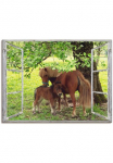 Artland Paveikslas ant drobės &raquo;Fensterblick - Pony su Kind&laquo; naminiai gyvūnai 1 Stk. dalys ant Holzrahmen gespannt