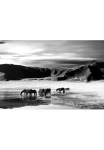 Papermoon Fototapetas &raquo;Landschaft juoda spalva & wei&szlig;&laquo;
