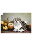 Artland Plakatas &raquo;Katze ir Herbstdeko&laquo; naminiai gyvūnai 1 Stk. dalys be grotelės