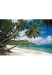 Komar Fototapetas &raquo;Tropical Sea - Gr&ouml;&szlig;e 368 x 254 cm&laquo; ra&scaron;tuotas glatt Wohnzimmer miegamojo kambario baldai