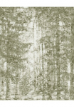 Komar Tapetai &raquo;Digitaldruck Vlies - Fading Forest - Gr&ouml;&szlig;e 200 x 250 cm&laquo; ra&scaron;tuotas glatt Wohnzimmer miegamojo kambario baldai