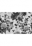 living walls Fototapetas &raquo;Walls by Patel Spanish Rose 1&laquo; glatt Vlies Wand Schr&auml;ge