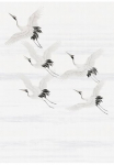 Art for the home Fototapetas &raquo;Kran&laquo; glatt Kran V&ouml;gel280x200 cmBlumen / Tieren Wei&szlig;