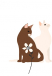 Komar Paveikslas &raquo;Loving Cats&laquo; Natur 1 Stk. dalys paveikslas zur dekoracija - be grotelės