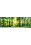 Reinders! Plakatas &raquo;Sommerwald&laquo; 1 Stk. dalys
