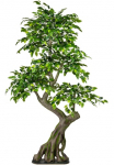 Creativ green Dirbtinis medis &raquo;Ficus Benjamini&laquo;