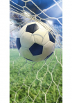 good morning Paplūdimio rank&scaron;luostis &raquo;Sander&laquo; Mikrofaser 75x150 Schnelltrocknend Strand Kind Junge futbolo kamuolys