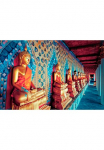 Papermoon Fototapetas &raquo;Golden Statues of Buddha&laquo; glatt
