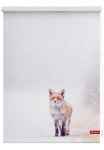 LICHTBLICK ORIGINAL Ritininė užuolaida &raquo;Rollo Lango kabliukai be Bohren Verdunkelung Fuchs im Schnee - Wei&szlig; Rot&laquo; verdunkelnd Verdunkelung | energiesparend freih&auml;ngend