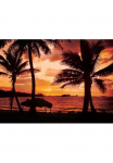 Papermoon Fototapetas &raquo;Palm Beach at Dusk&laquo; glatt