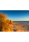 Papermoon Fototapetas &raquo;Dunes Chelsea Beach Australia&laquo; glatt
