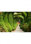 Papermoon Fototapetas &raquo;Wacholder-Skulpturengarten&laquo;