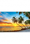 Papermoon Fototapetas &raquo;Barbados Palm Beach&laquo; glatt