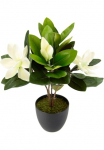 I.GE.A. Dirbtinė gėlė &raquo;Magnolie&laquo; im puodas Magnolienbusch k&uuml;nstlich Fr&uuml;hling Seidenblumen Raumdeko