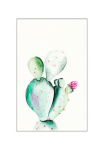 Komar Paveikslas &raquo;Prickly Pear Watercolor&laquo; Bl&auml;tter | Pflanzen 1 Stk. dalys paveikslas zur dekoracija - be grotelės