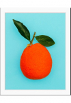 queence Paveikslas &raquo;Sean&laquo; Essen | Figūrėlė | Kunst | Lebensmittel | Obst | Obst paveikslas/nuotrauka 1 Stk. dalys HD Premium Poster-Druck ir Holzrahmen