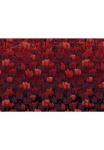 Komar Tapetai &raquo;Digitaldruck Vlies - Tulipe - Gr&ouml;&szlig;e 400 x 280 cm&laquo; ra&scaron;tuotas glatt Wohnzimmer miegamojo kambario baldai