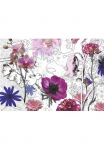 Komar Fototapetas &raquo;Purple - Gr&ouml;&szlig;e 368 x 254 cm&laquo; ra&scaron;tuotas glatt Wohnzimmer miegamojo kambario baldai