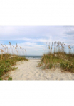 Papermoon Fototapetas &raquo;Dunes Huntington Beach&laquo; glatt