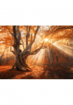 Papermoon Fototapetas &raquo;Magical Old Tree&laquo; glatt