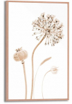 Reinders! Plakatas &raquo;Trockenblumen&laquo;