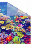 LICHTBLICK ORIGINAL Dekoratyvinė plėvelė langui &raquo;Aquarium&laquo; 1 Stk. blickdicht strukturiert Klebepunkte selbstklebend Sienelė