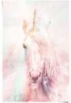 Reinders! Plakatas &raquo;Poster Magisches Einhorn spalvota - Fantasie - Pferd&laquo; Einhorn 1 Stk. dalys
