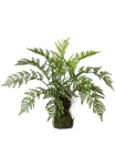 Creativ green Dirbtinis augalas