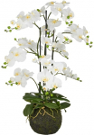 Creativ green Kunstorchidee &raquo;Orchidee Phalaenopsis&laquo; su k&uuml;nstlichem Erdballen
