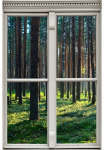 queence Sienų lipdukai &raquo;Wald&laquo; Sienų lipdukai paveikslas selbstklebend 3D langas