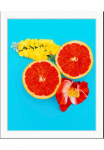 queence Paveikslas &raquo;Diego&laquo; Essen | Figūrėlė | Kunst | Lebensmittel | Obst | Obst paveikslas/nuotrauka 1 Stk. dalys HD Premium Poster-Druck ir Holzrahmen