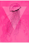 Komar Paveikslas &raquo;Jellyfish Pink&laquo; Tiere 1 Stk. dalys paveikslas zur dekoracija - be grotelės