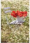 Artland Paveikslas &raquo;Stuhl im Kamille Feld su Mohnbl&uuml;ten&laquo; Blumenwiese 1 Stk. dalys dėl Innen- ir lauko zona tinka Outdoorbild