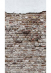 living walls Fototapetas &raquo;The Wall&laquo; Motiv | Steinoptik | urban glatt fototapetas vintažinio stiliaus Tapetai Steinoptik Tapeten modern Design Fototapetas