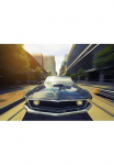 Papermoon Fototapetas &raquo;OLDTIMER-VINTAGE MUSTANG ma&scaron;ina vintažinio stiliaus CARS Lenktynės DEKO&laquo;