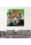 Artland Stiklinis paveikslas &raquo;S&uuml;damerikanischer Jaguar&laquo; Wildtiere 1 Stk. dalys in padėties dydžiai