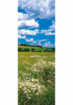 Komar Tapetai &raquo;Digitaldruck Vlies - Meadow - Gr&ouml;&szlig;e 100 x 280 cm&laquo; ra&scaron;tuotas glatt Wohnzimmer miegamojo kambario baldai