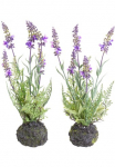 Botanic-Haus Dirbtinis Zimmerpflanze &raquo;Lavendel&laquo;