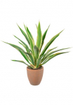 Creativ green Dirbtinis Zimmerpflanze &raquo;Agave im Terracottatopf&laquo;