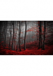 Papermoon Fototapetas &raquo;Photo-Art SAMANTA KRIVEC BLUTIGER FORREST&laquo;
