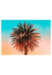 Komar Paveikslas &raquo;Palm Tree&laquo; Bl&auml;tter | Pflanzen 1 Stk. dalys paveikslas zur dekoracija - be grotelės